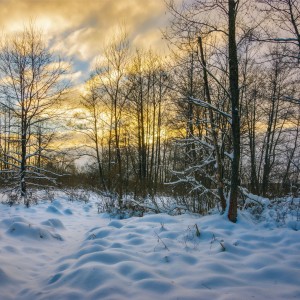 Первый солнечный вечер Нового года
